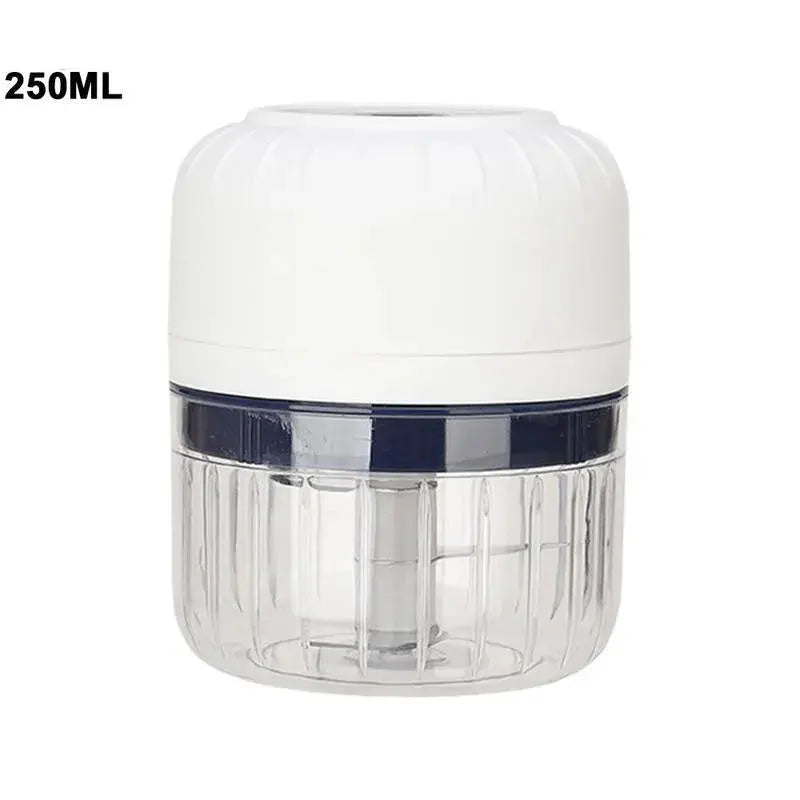 Small white and clear container with a blue band, labeled 250ML on a white background.