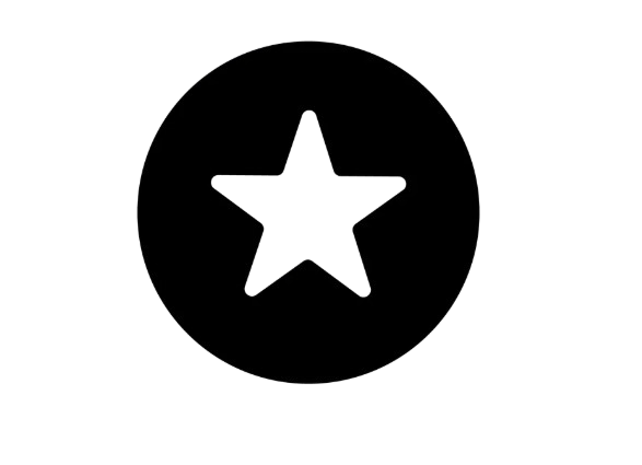 Black circle with a white star in the center on a white background